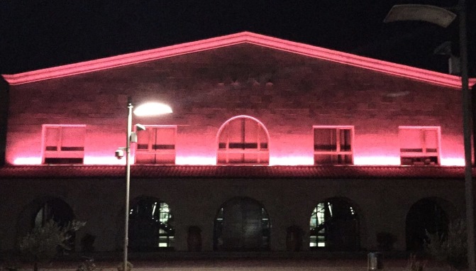 El color rosa en la bodega Emina