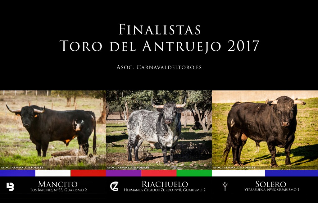 Mancito, Riachuelo y Solero, candidatos a ser el Toro del Antruejo 2017  