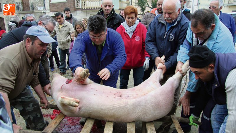 Hinojosa de Duero es una de las localidades que celebra la matanza como evento turístico, este año el 10 de diciembre | CORRAL