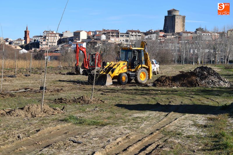 La maquinaria ya se encuentra sobre el terreno realizando la reforestación de árboles