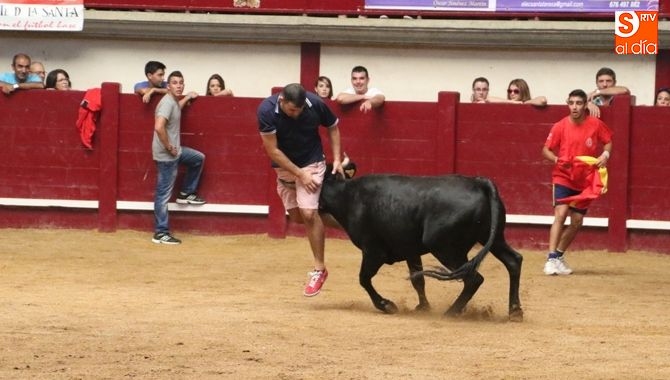En Castilla León se celebran cada año más de 2.000 espectáculos taurinos populares y profesionales