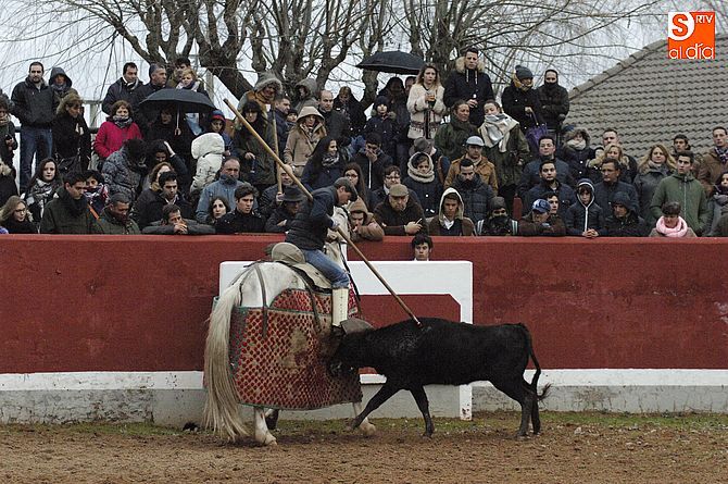 El ganado y el picador Francisco María, lo destacado de la tarde bolsinista/ Foto: Adrián Martín