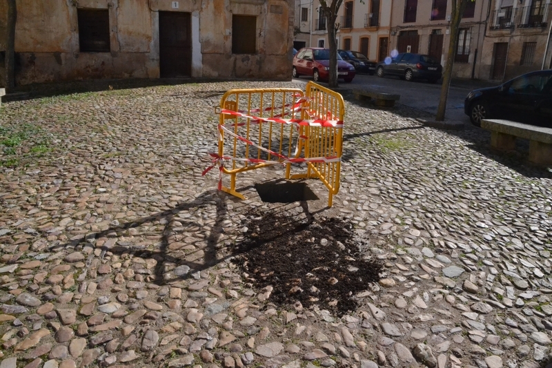 Aspecto en estos momentos del Campo de Carniceros