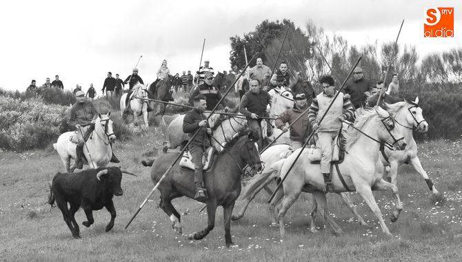 Foto 1 - Las fiestas de Gallegos volverán a contar con dos encierros a caballo tras el éxito del año...