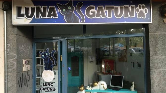 Luna Gatuna, en la avenida de Salamanca, 50
