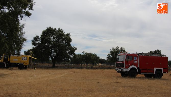 En las labores de extinción participaron cuatro bomberos voluntarios del Parque de Vitigudino / ARCHIVO