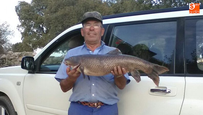 Nisi Marcos con barbo de cinco kilos pescado en Yecla de Yeltes en el Huebra