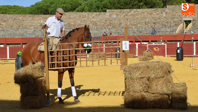I Concurso de Equitación de Trabajo en La Ancianita