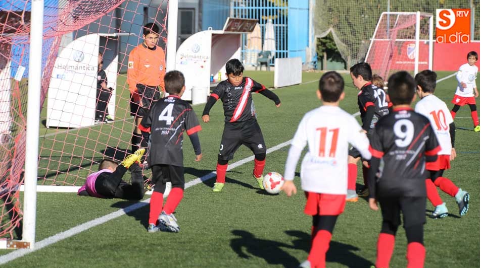 Partido Pizarrales B contra Santa Marta C, de la provincial prebenjamín