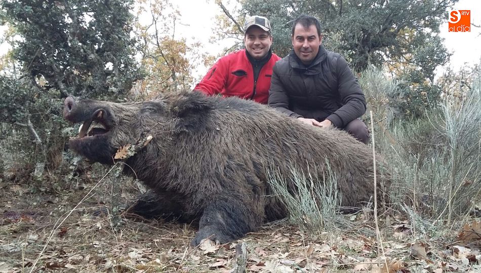 Buen cochino cobrado por Lorenzo Rodríguez ‘Espioja’   