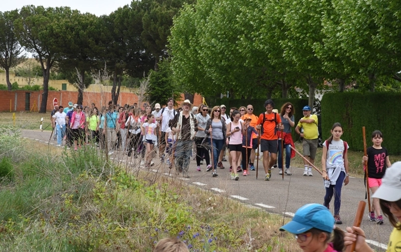 Foto 5 - Cultura para poner en valor la comarca