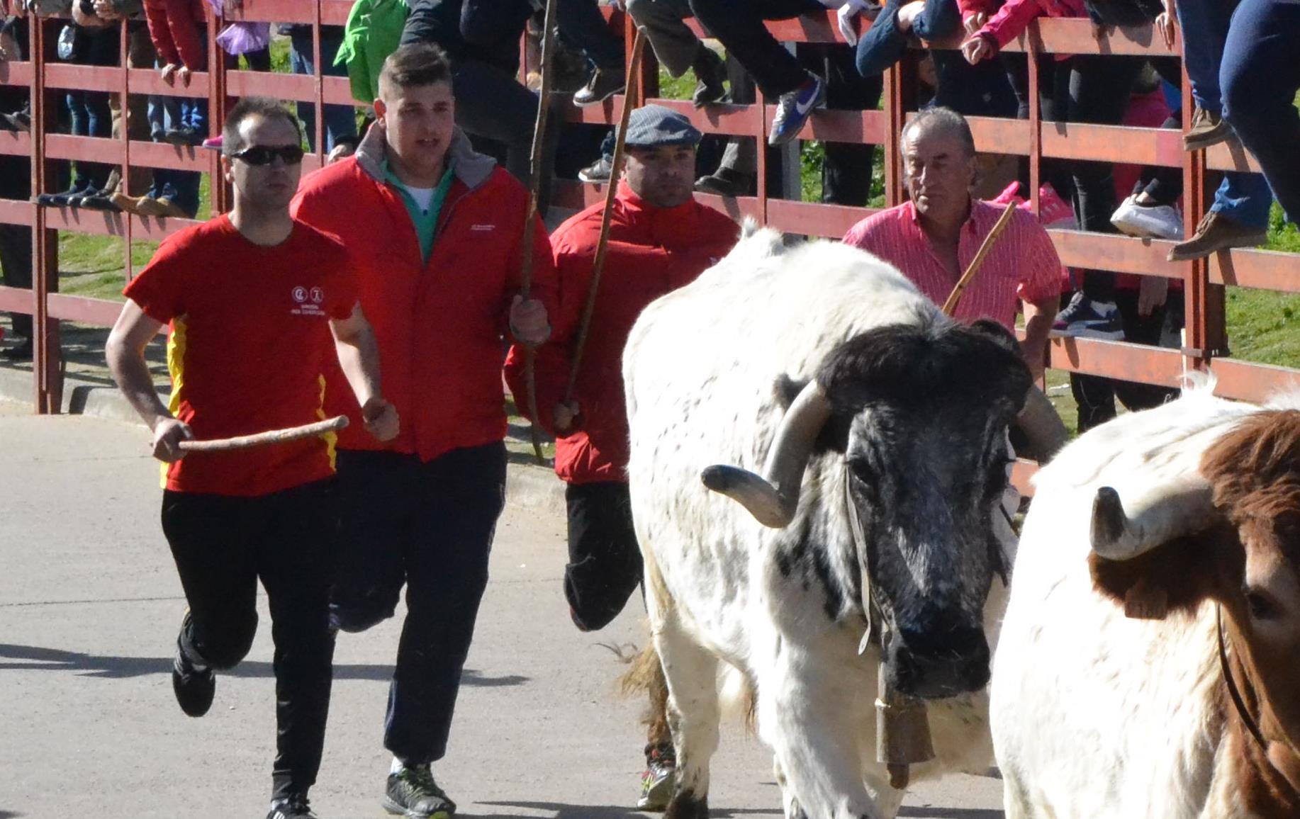 El popular pastor Ángel Rico pregonará el Carnaval para los Amigos del Alguacilillo  