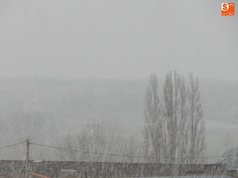 Foto 3 - La nieve tambi&eacute;n cubre de blanco la comarca de Ledesma