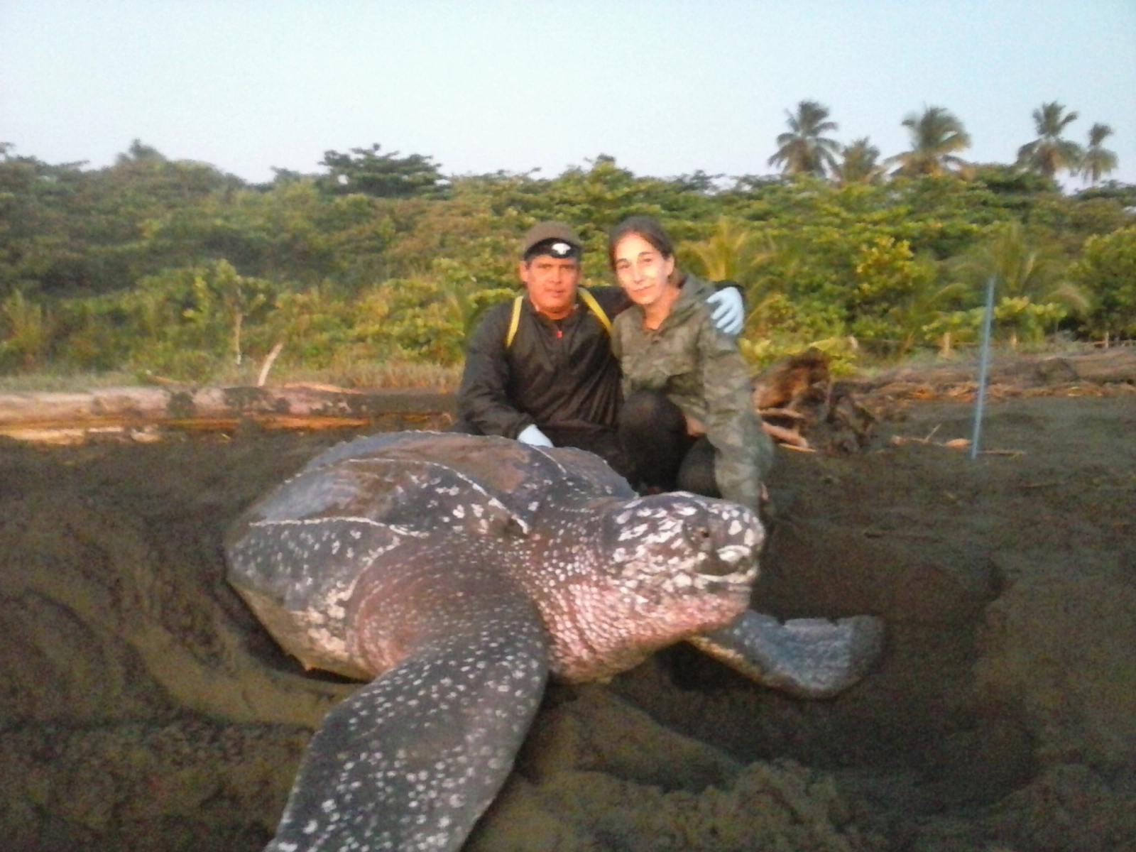 Foto 8 - B&aacute;rbara Barrera, la bi&oacute;loga que lucha por recuperar las tortugas marinas en Costa Rica