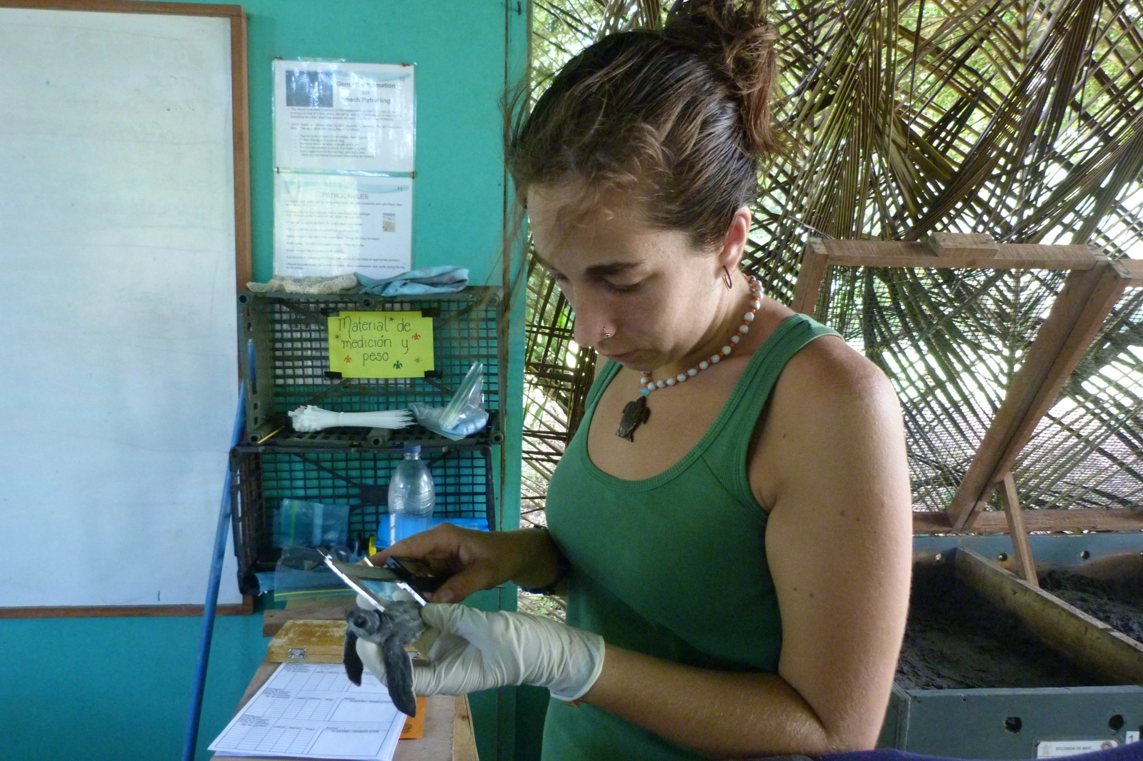 Foto 3 - B&aacute;rbara Barrera, la bi&oacute;loga que lucha por recuperar las tortugas marinas en Costa Rica