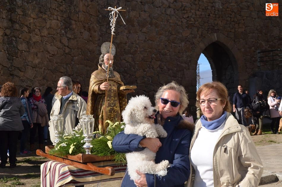 Foto 8 - Los ni&ntilde;os y sus mascotas participan de la Bendici&oacute;n de los Animales en el D&iacute;a de San Ant&oacute;n  