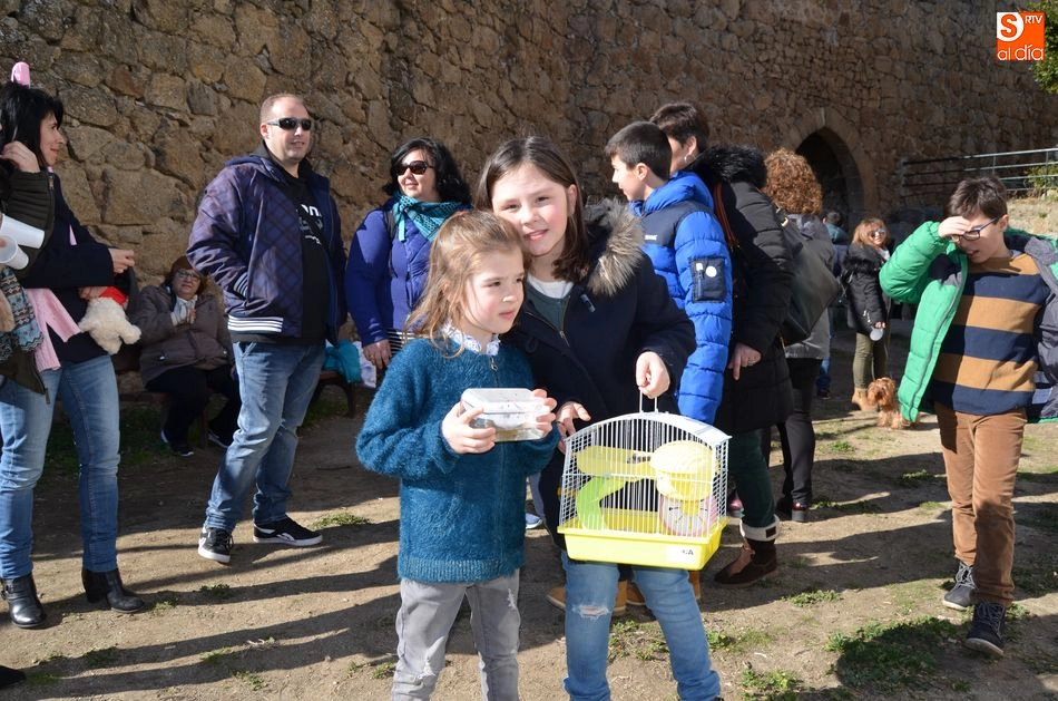 Foto 3 - Los ni&ntilde;os y sus mascotas participan de la Bendici&oacute;n de los Animales en el D&iacute;a de San Ant&oacute;n  