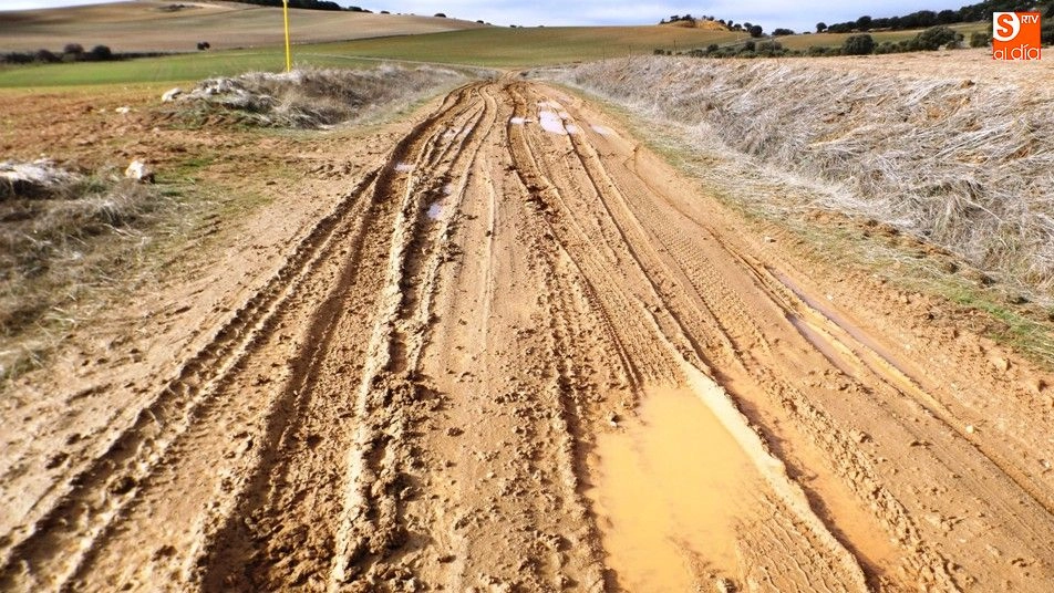 Foto 6 - Arrecian las quejas vecinales por el deficiente estado de los caminos municipales