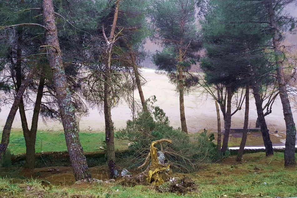 Foto 2 - Cs B&eacute;jar pide que se mejore y proteja la zona del recinto ferial  
