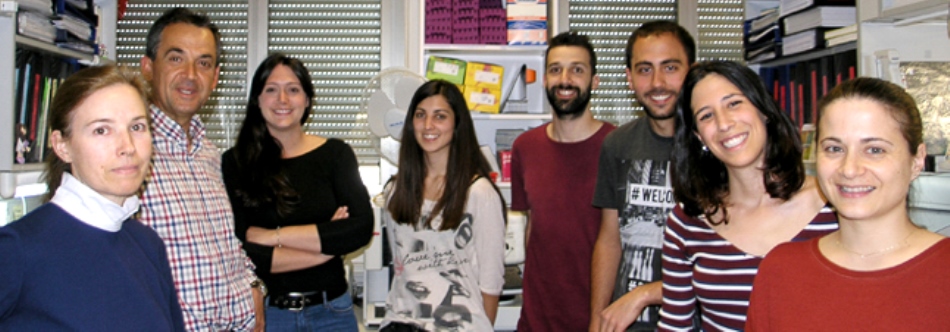 Grupo de investigación dirigido por Isidro Sánchez, del Centro de Investigación del Cáncer de Salamanca (CIC-IBMCC)