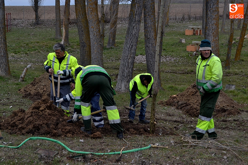 Foto 5 - El Ayuntamiento busca &ldquo;dar ox&iacute;geno&rdquo; al&nbsp;pulm&oacute;n del parque El Inestal con la replantaci&oacute;n de...