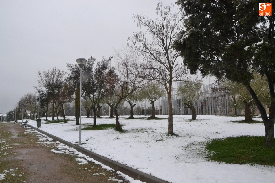Foto 7 - Ciudad Rodrigo amanece con una espectacular y sorpresiva nevada  