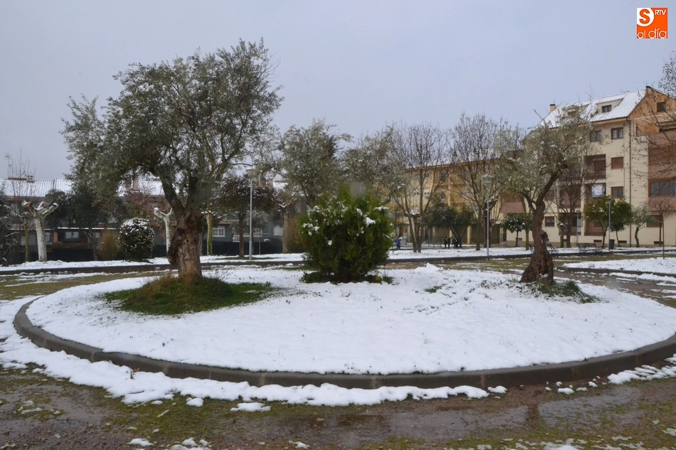 Foto 3 - Ciudad Rodrigo amanece con una espectacular y sorpresiva nevada  