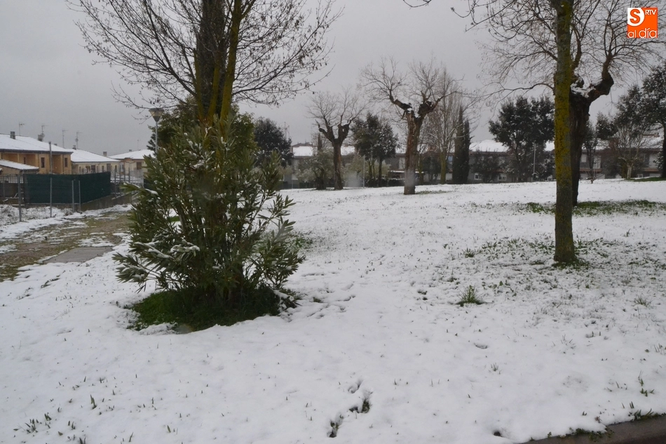 Foto 4 - Ciudad Rodrigo amanece con una espectacular y sorpresiva nevada  