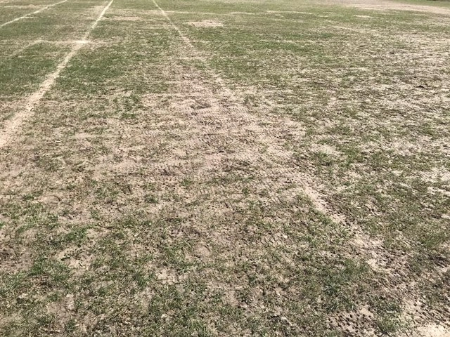 Foto 2 - La Tour Cup se jugar&aacute; en el campo de f&uacute;tbol antiguo de la Dehesa