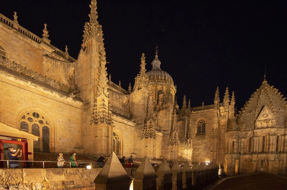 Foto 6 - Las visitas nocturnas de Ieronimus vuelven este fin de semana coincidiendo con su d&eacute;cimo...