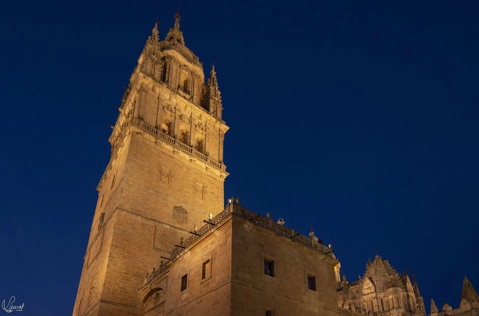 Foto 5 - Las visitas nocturnas de Ieronimus vuelven este fin de semana coincidiendo con su d&eacute;cimo...