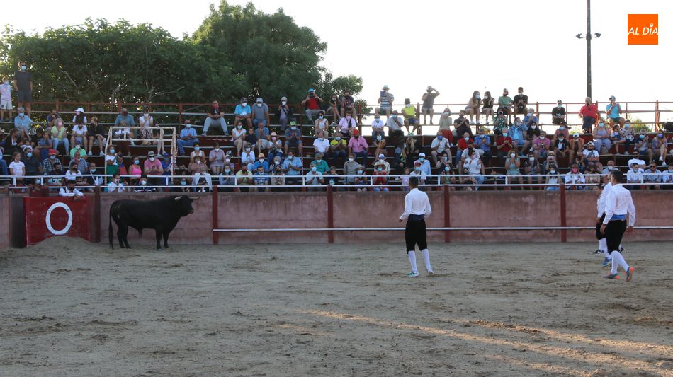 Foto 4 - Buena tarde de toros y recortes en Masueco de la Ribera  