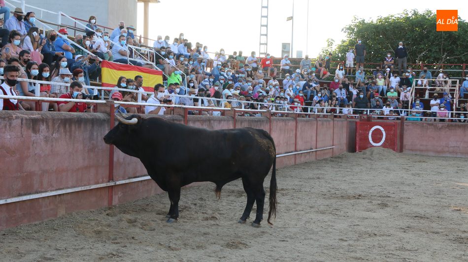 Foto 3 - Buena tarde de toros y recortes en Masueco de la Ribera  