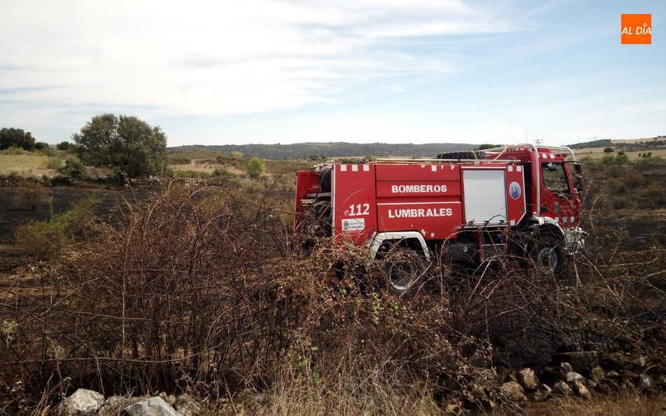 Foto 2 - Controlado un incendio en Hinojosa de Duero que deja dos hectáreas calcinadas  