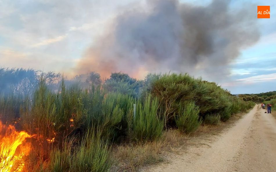Foto 4 - Vecinos y Bomberos de Lumbrales tratan de sofocar un incendio en Olmedo de Camaces