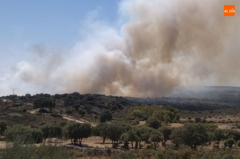 Foto 2 - Declarado Nivel 1 el incendio que afecta a los términos de San Felices de los Gallegos y...