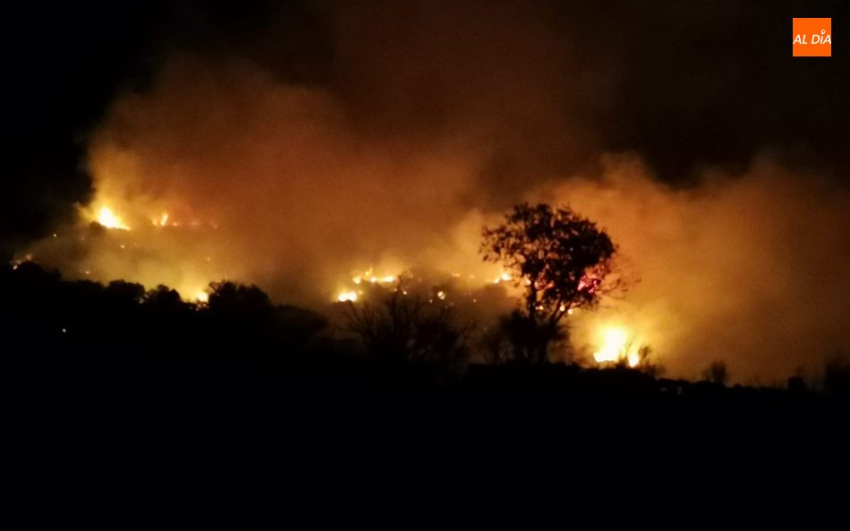 Foto 4 - Evoluciona favorablemente el incendio que afecta a los términos de Bañobárez y San Felices de...