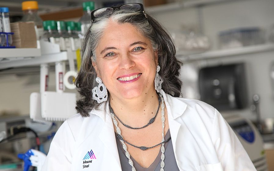 Ana Fernández-Sesma Cordón, eminente viróloga y catedrática de Microbiología en la Escuela ICAHN de Medicina del Hospital Monte Sinaí de Nueva York