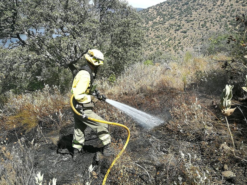 Ignacio Villaverde, bombero forestal salmantino, trabajando en la extinción de un incendio - IV