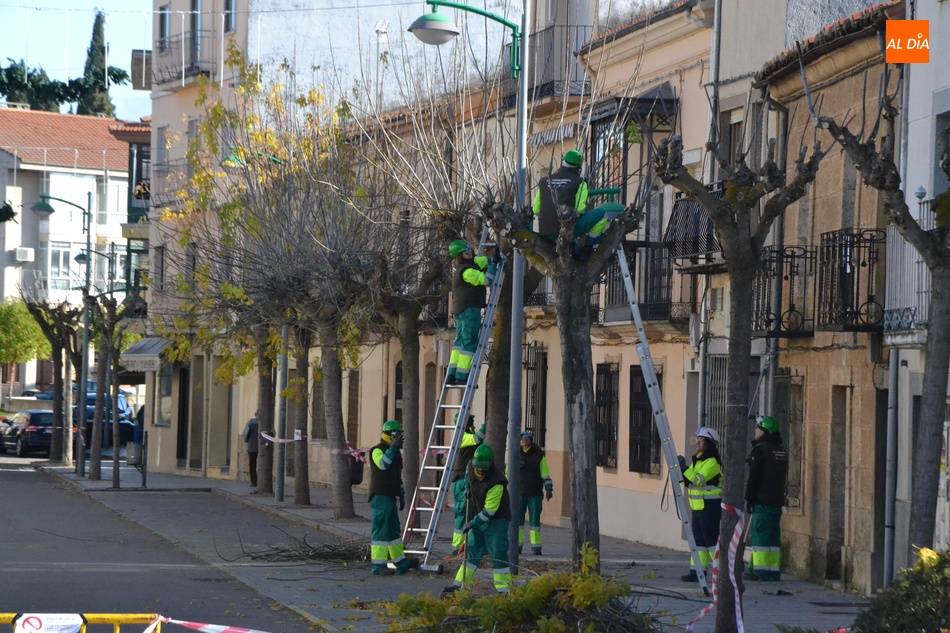Cáritas programa para el otoño un curso de poda con motosierra  