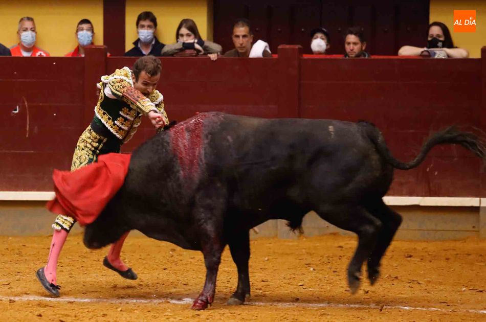 Foto 4 - José Garrido indulta un toro de Domingo Hernández en la corrida concurso de Alba de Tormes