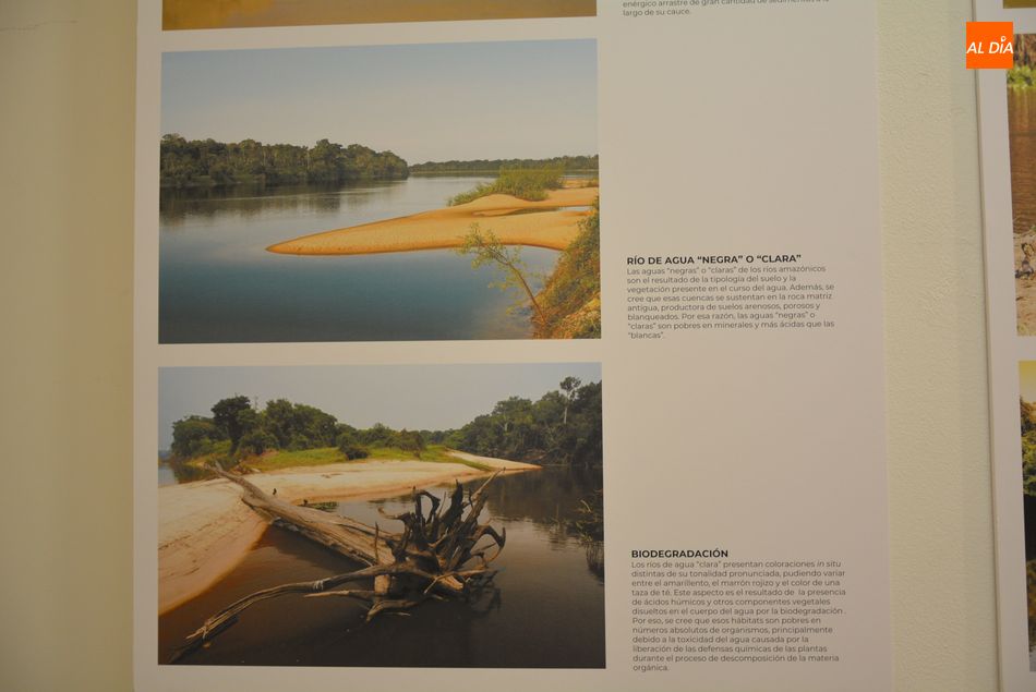 Foto 4 - Exposición, con la Amazonia como protagonista, para concienciar sobre la importancia de conservar la naturaleza 