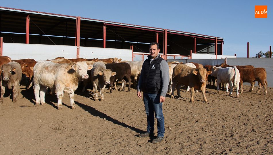 Juan Luis Delgado, presidente de Asaja y ganadero de vacuno de carne en Fuentes de Masueco  / CORRAL