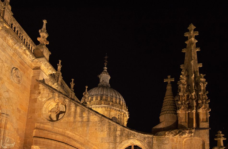 Imagen de las torres de la Catedral de Salamanca. Foto M. Lamas