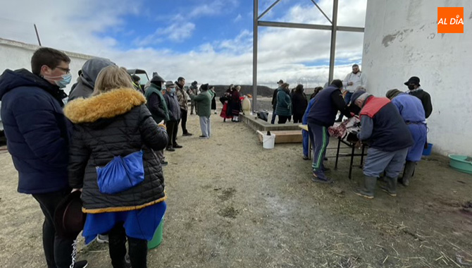 Decenas de personas participaban en la Matanza Tradicional en Zorita de la Frontera