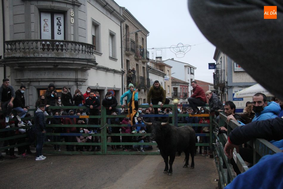 Foto 4 - Miles de personas llenan las calles de Vitigudino para ver el I Toro de San Nicolás