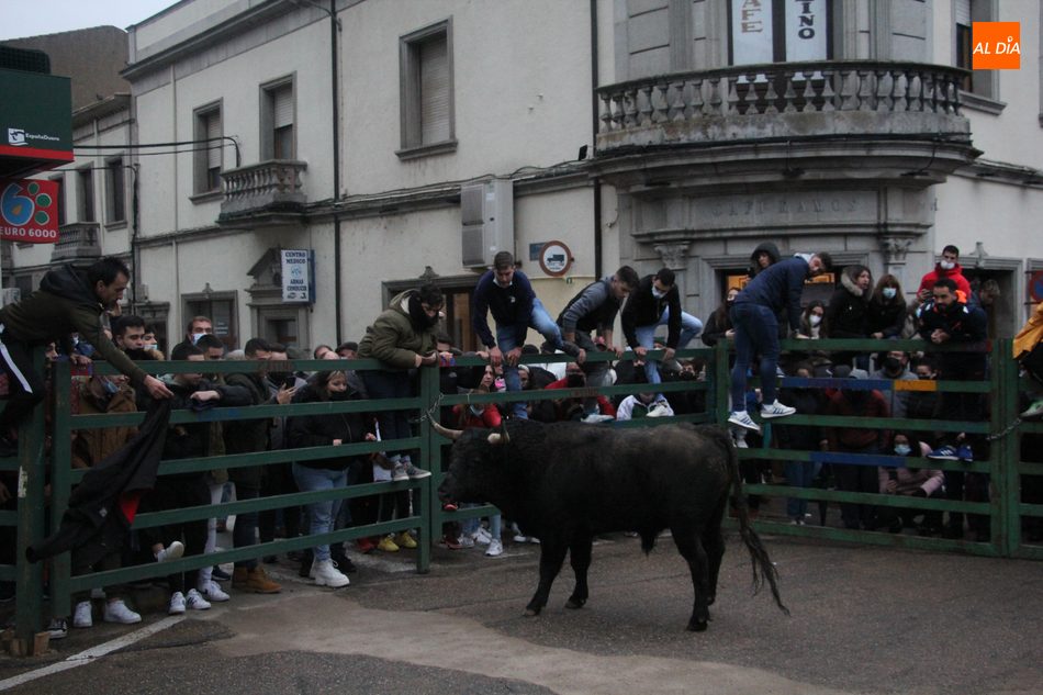 Foto 2 - Miles de personas llenan las calles de Vitigudino para ver el I Toro de San Nicolás