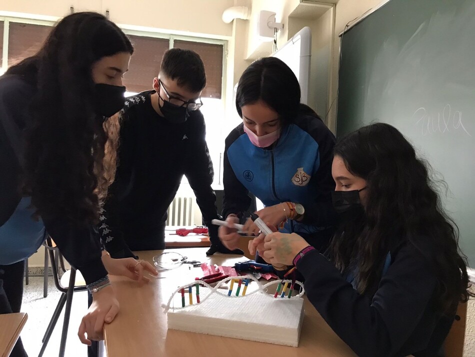 Foto 4 - Los alumnos del San Juan Bosco realizan maquetas de la estructura del ADN 