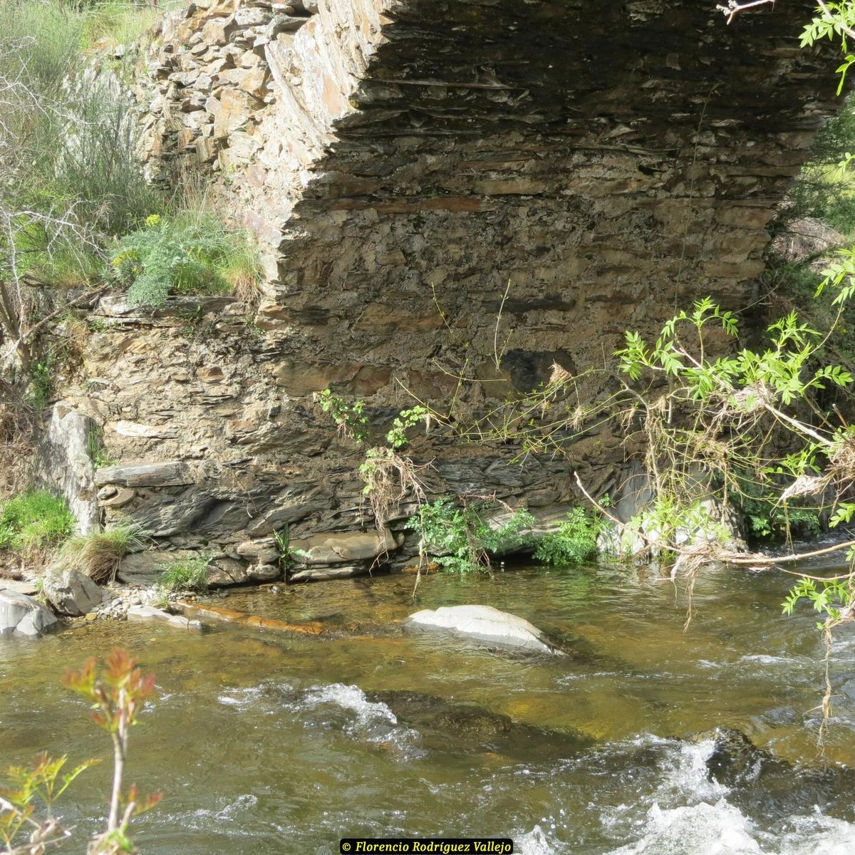 Imágenes del Puente Gatos publicados en la Lista Roja del Patrimonio - Florencio Rodríguez Vallejo 