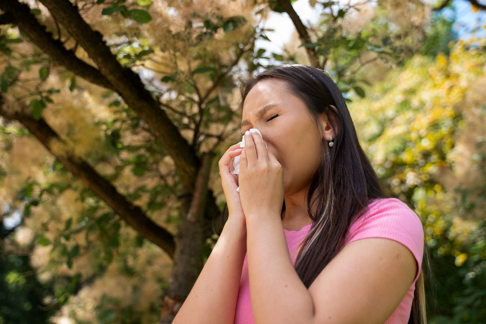¿Alérgico al polen? Así puedes consultar los niveles de polen que hay en Salamanca para prevenir sus síntomas  